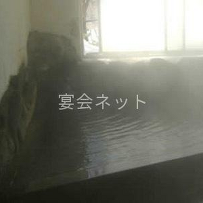 内湯 - 旅館ニューおおたか