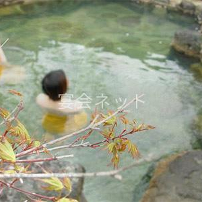 露天風呂 - 旅館ニューおおたか