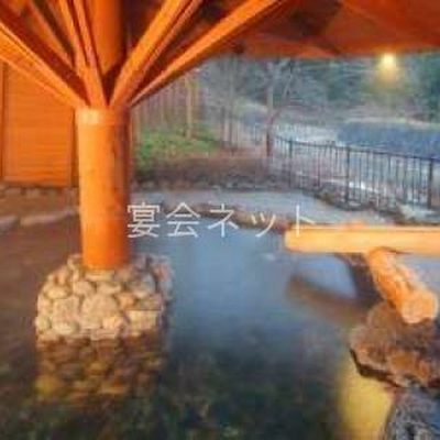 渓流露天風呂 - はるみや旅館