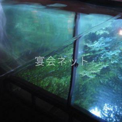 温泉 - 元湯 玉川館