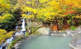 露天風呂　八重九重の湯 - 星野リゾート 奥入瀬渓流ホテル
