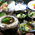 料理 - 元湯 陣屋