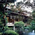 庭 - 元湯 陣屋