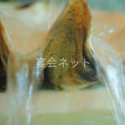 渚の湯 - 鴨川ホテル中村