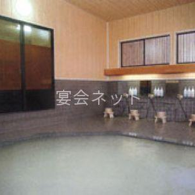 内湯 - 田沢高原ホテル