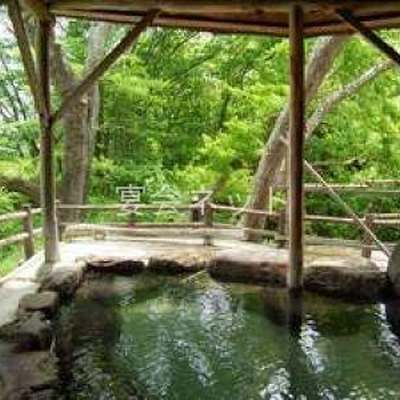 露天風呂「水芭蕉の湯」 - ホテル華乃湯