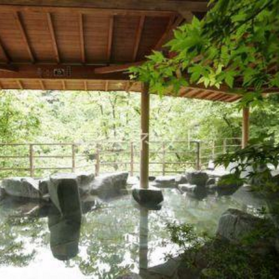 露天風呂さるあみの湯 - 吉川屋
