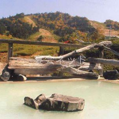 露天風呂「極楽の湯」 - 日進舘