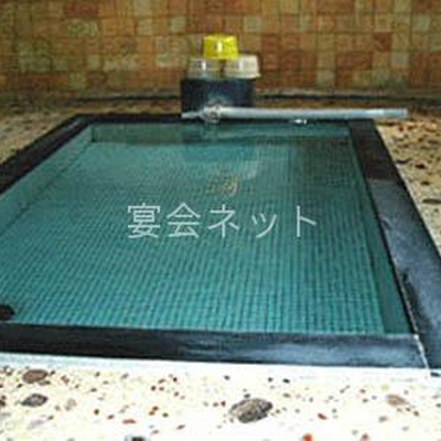 内湯 - 平野屋旅館