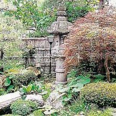 庭園 - 平野屋旅館