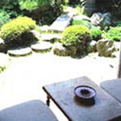 庭 - 平野屋旅館