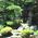 庭 - 平野屋旅館