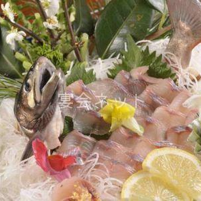 お造り - タヌキのお宿　洞元荘