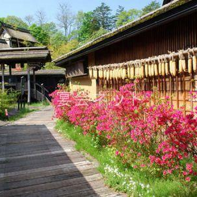 外観 - かやぶきの郷薬師温泉　旅籠