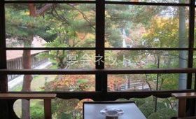 客室 - 菊水館