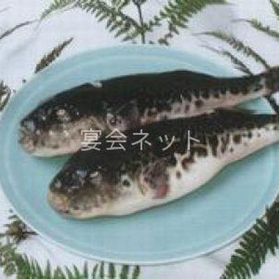 ふぐ - 福士館
