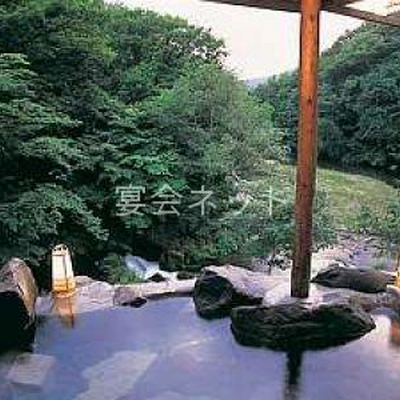 露天風呂「天与の湯」 - ホテル親湯