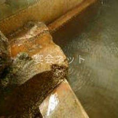 内湯 - 義経ゆかりの湯　旅館 姥乃湯