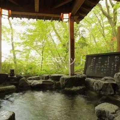 かみつけの湯露天風呂 - いかほ秀水園