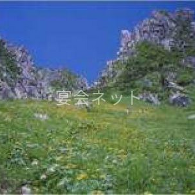 山