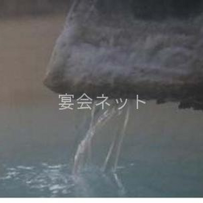 温泉 - ヤマニ仙遊館