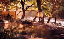 露天風呂 - 鬼怒川温泉　花の宿　松や