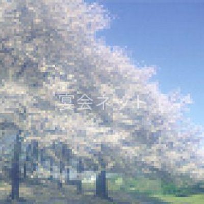 観光 - こだま旅館