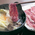 料理 - 旅館さかい