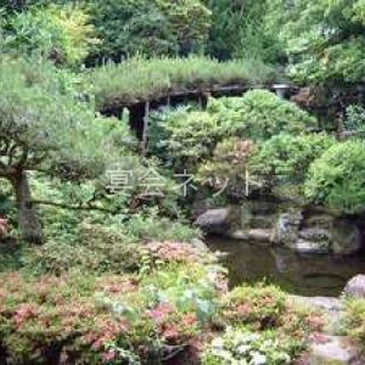 庭 - 芳野旅館