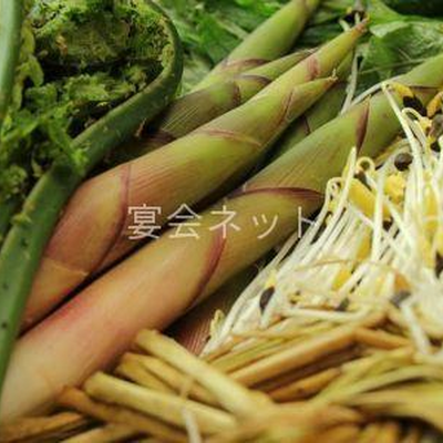素材 - 温泉民宿　赤湯