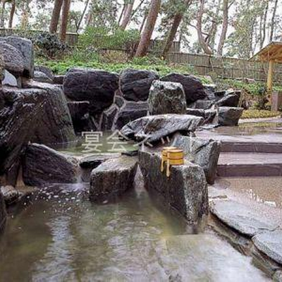 露天風呂 - 潮騒の湯 鴨川館