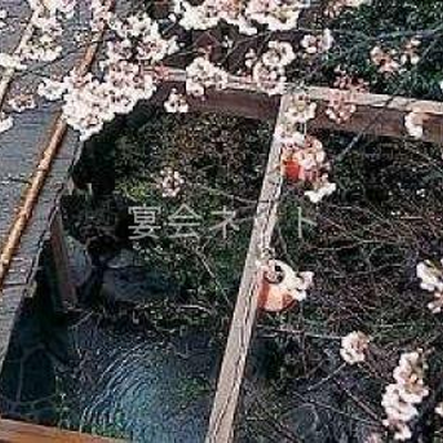 川 - 清流荘