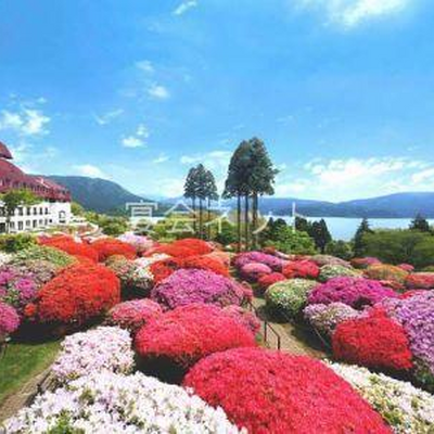 つつじ庭園 - 小田急 山のホテル