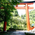 貴船神社 - 京・貴船　ひろや
