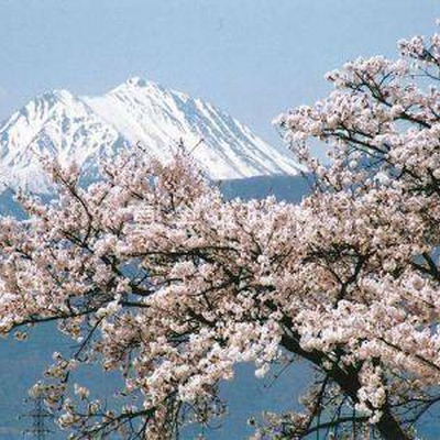 景色 - 旅の宿　山のたこ平