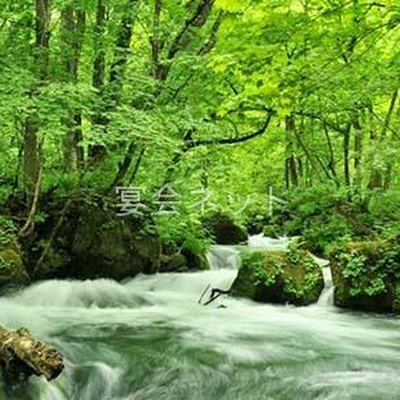 渓流 - 奥入瀬グリーンホテル