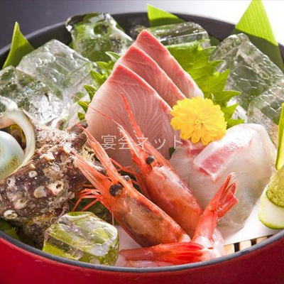 お造り - 宿守屋寿苑