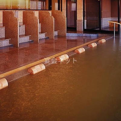 六左衛門の湯　内湯 - 岸権旅館