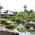 庭園- 石庭