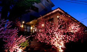 岩下温泉旅館 外観