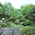 庭 - 京風料亭旅館　正平荘