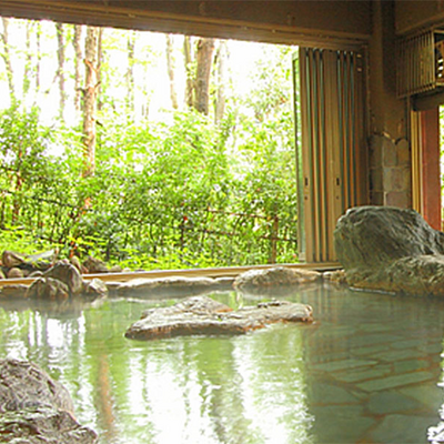 大岩風呂 - ホテル天坊