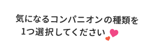 気になるコンパニオンの種類を1つ選択してください
